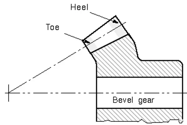 kolo-zebate-stozkowe.jpg